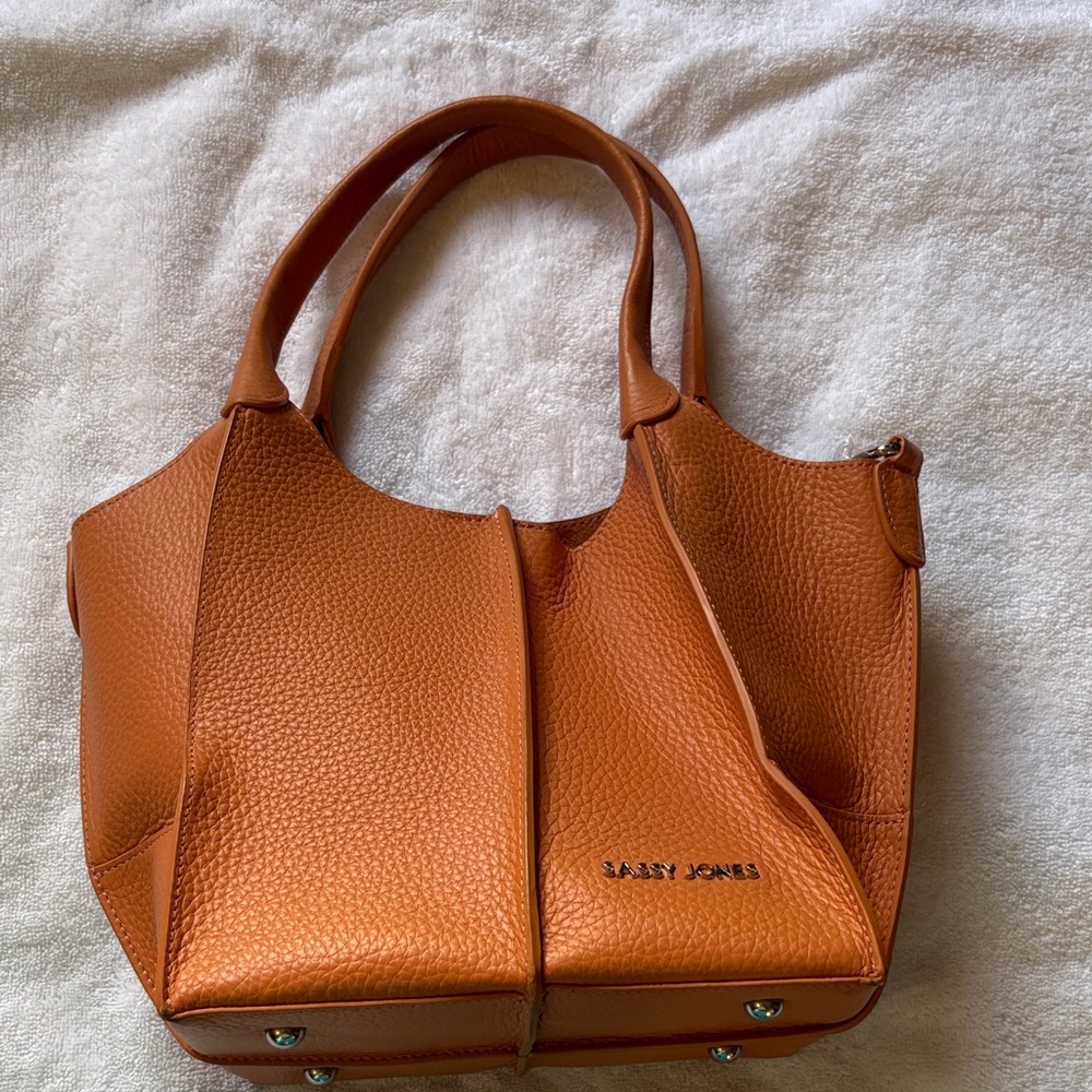Sassy Jones Vibrant Brown Bag